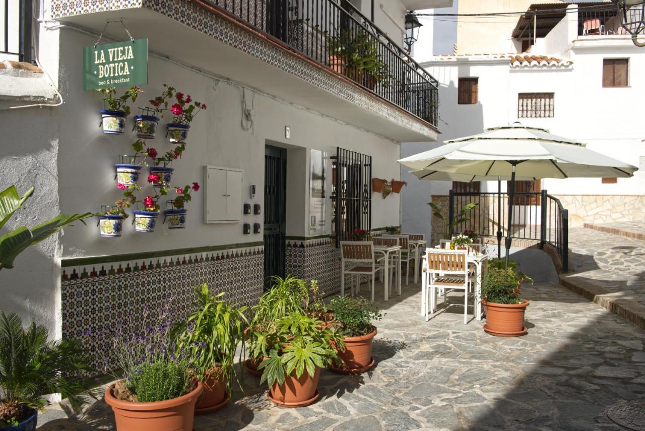 Canillas de Aceituno La Vieja Botica Bed & Breakfast エクステリア 写真